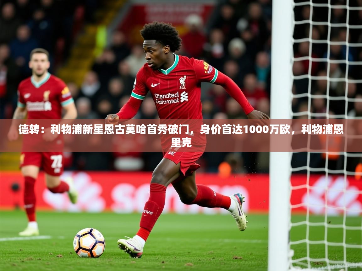 2025九游娱乐官网德转：利物浦新星恩古莫哈首秀破门，身价首达1000万欧，利物浦恩里克  第4张