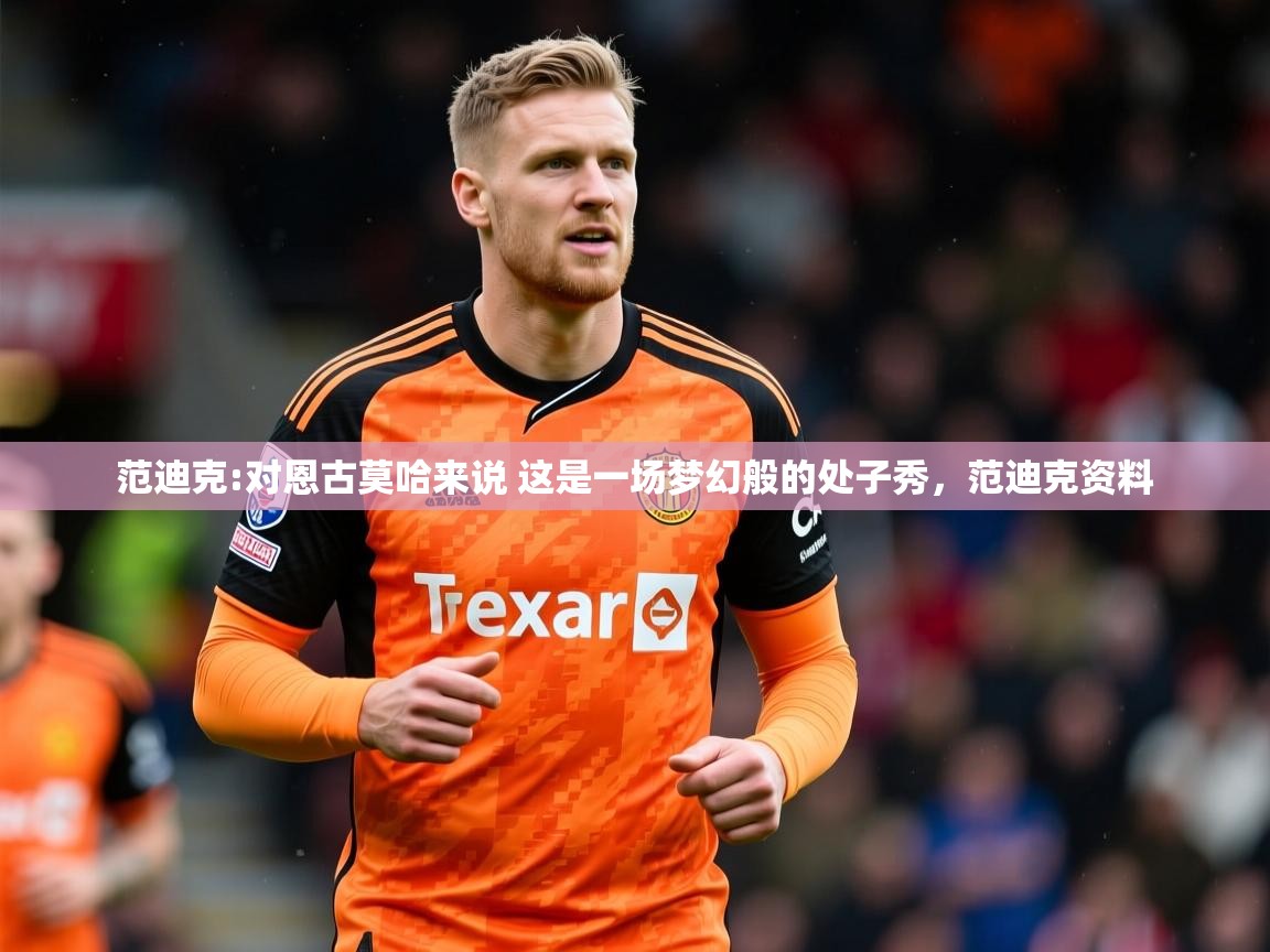 2025九游娱乐app体验棒范迪克:对恩古莫哈来说 这是一场梦幻般的处子秀，范迪克资料  第1张