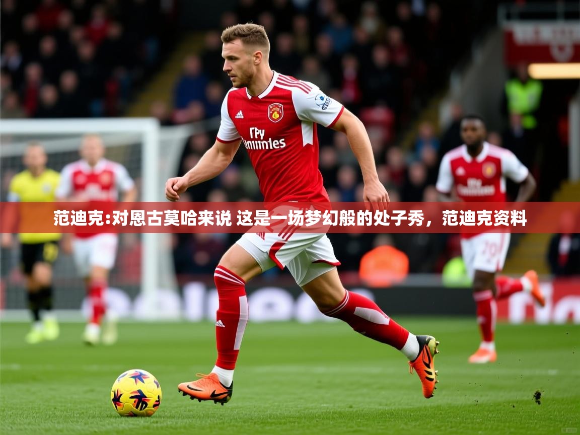 2025九游娱乐app体验棒范迪克:对恩古莫哈来说 这是一场梦幻般的处子秀，范迪克资料  第2张